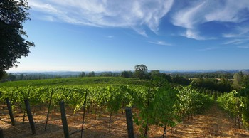 Tasting at the Top